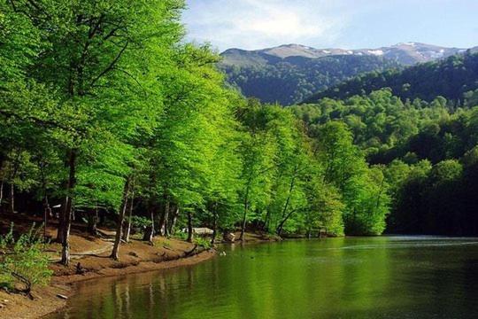 مبيت وإفطار Petit ديليجان المظهر الخارجي الصورة